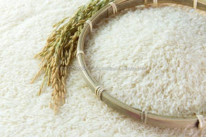 Arroz Jazmín Blanco Vietnamita de Grano Largo Premium ST25 |   Textura Dura |   Buen Precio |   Mejor Planta de Molienda Directa de Arroz (Sra. Sandra) - Product Image 5