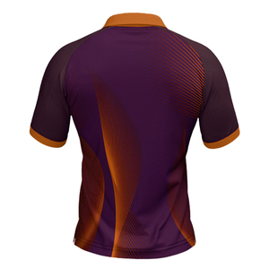 Maillot de cricket élégant à design personnalisé, de haute qualité, séchage rapide, vêtements d'équipe, entraînement, léger, manches courtes - Product Image 2