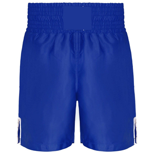 Wholesale Muay Thai Boxing Shorts Kickboxing Fight Tiger Muay Thai Shorts Custom Breathable Boxing <b>Trunks</b> <b>Man</b> Woman Mma Shorts - Product Image 6