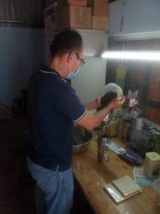 [Distribuidor Confiable] Mejor Precio Pimienta Negra Seca 5mm 500g MC 550 MC Certificada por ASTA Marca Agrikim Proveedor Confiable - Product Image 6