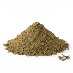 Polvo de Bhringraj 100% Puro, Polvo de Hoja de Eclipta Prostrata Natural para el Cuidado del Cabello, Cuidado del Cuero Cabelludo y Mascarilla Capilar - Product Image 1