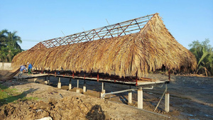Cubierta de Techo de Hojas de Palma para Bares al Aire Libre, Gazebos y Construcción de Resorts - Product Image 1