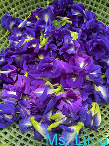 ดอกถั่วผีเสื้อออร์แกนิกสำหรับชาสมุนไพรและเครื่องดื่มผลิตในเวียดนาม/คุณนายแคตตี้ - Product Image 5