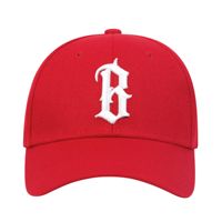 Gorra de Béisbol Deportiva con Visera Curva, 6 Paneles, Impermeable, con Cierre a Presión, Bordado de Logotipo Personalizado OEM, Diseño Sublimado de Leopardo