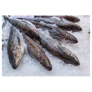 Quantité importante de hareng entier congelé / filets de hareng (produits de la mer) à prix de gros avantageux - Product Image 2