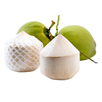 Cocos jóvenes frescos naturales de sabor dulce con pajita/botón pulsador/Tirador de anillo del proveedor de Vietnam
