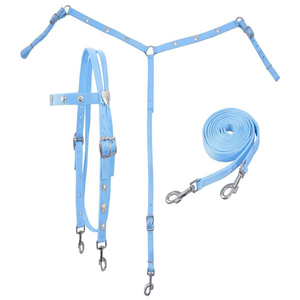 Juego de arreos de nailon plateado con diseño de corazón para caballo, estilo western, incluye cabezada, pechera y riendas, de doble capa, duradero, equipo ecuestre ajustable - Product Image 2