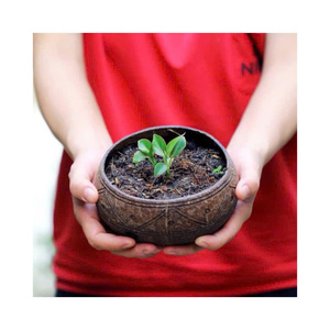 Venta al por mayor de macetas de cáscara de coco natural, ideales para plantar suculentas o guardar objetos pequeños - Product Image 1