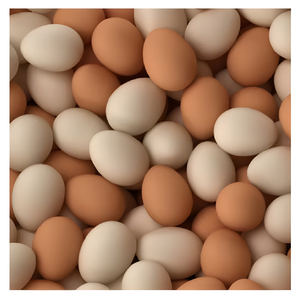 Œufs de poule de table de qualité A, frais, de ferme, œufs blancs de haute qualité, approvisionnement en vrac, fabricant grossiste, export, œufs bruns - Product Image 1