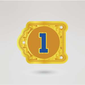 Cinturón de Campeonato Internacional de Lucha Libre Lions, Correa Negra, Placas Metálicas Doradas, Equipo Deportivo Personalizado - Product Image 4