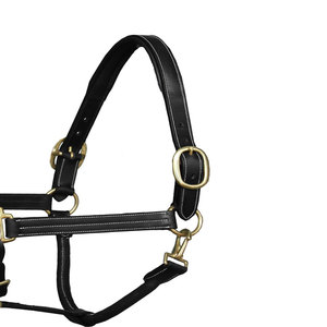 Cabestro para Caballo de Diseño Personalizado, de Cuero, Ligero y Transpirable, a Precio Económico y Alta Calidad - Product Image 3