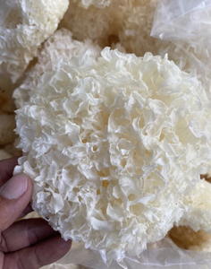 Tremella blanche séchée de qualité export, utilisée pour les desserts, les soupes, la transformation alimentaire, origine Vietnam - Product Image 2