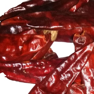 Piment rouge sec indien Sannam S4 sans tige Épice de haute qualité pour la cuisine disponible à la vente - Product Image 2