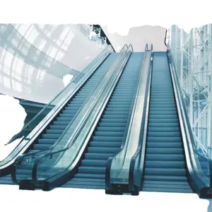 Eskalator dalam ruangan luar ruangan Harga terbaik lift kualitas unggul dan eskalator lift Tiongkok