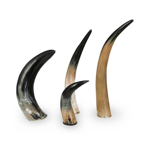 Buffalo <b>Decorative</b> Horn Different Sizes Standing Crafts 4 Pieces Buffalo Horn Pair Wholesale Price - Product Image 1