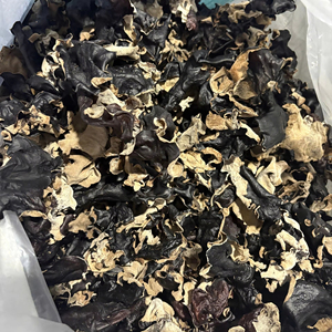 Hongo Oreja de Pana Seco de Alta Calidad, Hongo Negro de Vietnam, Secado Natural al Sol, Proveedor Mayorista para Exportación - Product Image 1