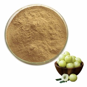 Poudre d'Amla de qualité supérieure, 100 % naturelle et pure, pour la force des cheveux, la santé de la peau et le soutien nutritionnel quotidien. - Product Image 1