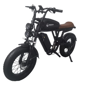 Vélo électrique urbain tout-terrain rétro à vitesse unique, moteur 250W, assistance au pédalage, pneus larges 20 pouces, batterie lithium-ion, électronique - Product Image 4