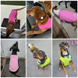 Ropa Cómoda para Mascotas, Camiseta para Perro de Color Liso, Algodón de Alta Calidad, Ropa Moderna para Cachorros, Camisetas Ligeras para Perro - Product Image 5