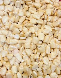 Maíz Blanco Glutinoso Brasileño para la Industria Alimentaria, Grano Seco de Alta Pureza con 3 Años de Vida Útil para Procesamiento y Distribución - Product Image 5