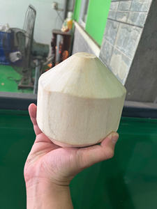 มะพร้าวสดเขตร้อนจากเทคมิเฟูดเวียดนามแหล่งกำเนิดการส่งออกมาตรฐาน - Product Image 2