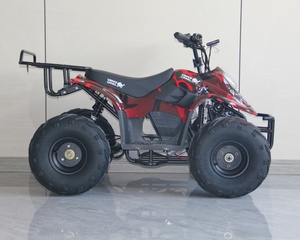 <span class=keywords><strong>Quad</strong></span> électrique <span class=keywords><strong>mini</strong></span> ATV <span class=keywords><strong>800W</strong></span> tout-terrain pour jeunes, prix de gros direct usine - Product Image 3