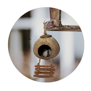 COQUE DE NOIX DE COCO MAISON POUR OISEAU AVEC GRANDE QUANTITÉ DISPONIBLE À L'EXPORTATION DU VIETNAM - Product Image 1