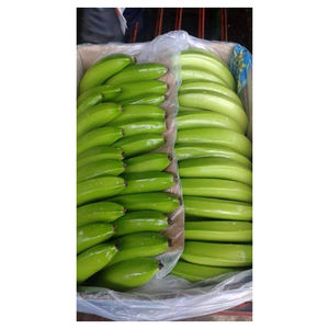 Plátanos Cavendish Verdes Naturales Frescos en Venta al Precio Más Bajo - Product Image 5