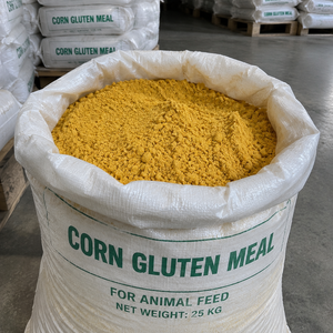 Harina de Gluten de Maíz Amarillo Premium a Granel para Exportación, Ingrediente para Alimento de Ganado, Proteína Natural en Polvo de Fuentes Confiables - Product Image 6