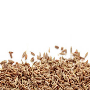 Graines de Jeera entières fraîches de saison en provenance d'Inde pour le commerce en gros d'épices, la fourniture d'ingrédients alimentaires et les acheteurs professionnels internationaux - Product Image 1