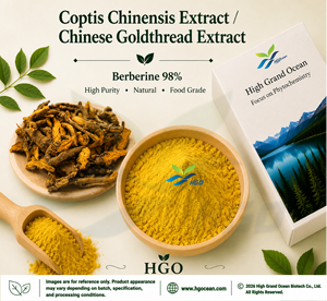 Suministro directo de fábrica de HGO, extracto puro natural de Coptis Chinensis, extracto de hilo dorado chino, berberina 98% (extracto estandarizado) - Product Image 1