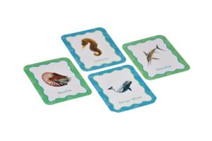 Toysaga Tarjetas de Animales Oceánicos, 30 Tarjetas, Edad 2+ Años, Juguete Educativo para Niños - Product Image 2