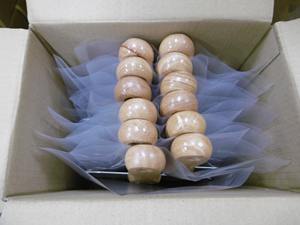 Cuchillo de cinta DIY de grado industrial con mango de madera para paneles de yeso y enyesado de construcción de acero inoxidable - Product Image 5