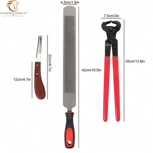 Juego de Herramientas Veterinarias Equinas Profesionales Reutilizables, Kit de Herramientas para Herradores de Caballos, Recortador de Pezuñas, Herramienta para el Cuidado de Caballos, Extractor de Zapatas, Alicates, Lima y Escofina - Product Image 3