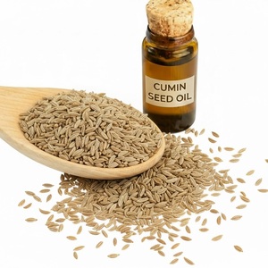 น้ำมันหอมระเหยเมล็ดยี่หร่า cuminum cyminum - Product Image 1