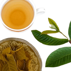 Mega Oferta: Hoja de Guayaba Natural Seca (Psidium Guajava) en Bolsa de PP de 20kg, Material Crudo, Estándar de Exportación B2B, Proveedor de Vietnam para Importadores - Product Image 6