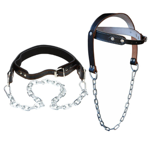 Weightlifting Head <b>Harness</b> with Chain Attachment for Resistance Training and Neck Muscle Development Exercises - Product Image 1