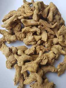 Condimento entero dividido de jengibre seco de Vietnam Sra. Emily + 84 964660879 - Product Image 2