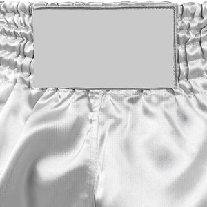 New Premium Quality Custom Made Breathable 220g <b>100</b>% <b>Polyester</b> & Silk Muay Thai Fight Shorts for Men - Product Image 5