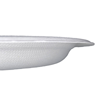 Assiette Ronde en Bagasse de 6 Pouces, Jetable, Écologique, Compostable, Biodégradable, de Qualité Alimentaire pour Fêtes, Traiteur et Pique-niques