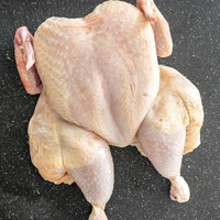 Poulet entier halal congelé, qualité supérieure, prix bas, volaille fraîche, viande de poulet entier congelé, best-seller