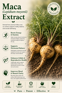 Hgo สารสกัดจาก Maca ธรรมชาติบริสุทธิ์ (Lepidium meyenii) จากโรงงานโดยตรง (เกรดอาหาร) ข้อมูลจำเพาะ10:1 (สารสกัดอัตราส่วน) - Product Image 2