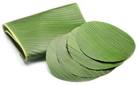 Feuilles de bananier vertes séchées 100cm x 25cm 1kg Durée de conservation de 2 mois à Dong Thap, Vietnam - Région du Delta du Vietnam