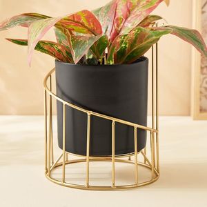 Macetero Metálico Moderno de Lujo con Soporte, Maceta de Hierro Dorado, Maceta Decorativa para Interiores, Decoración para Sala de Estar - Product Image 1