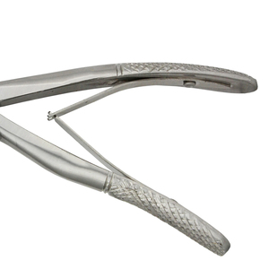 คีมถอนฟันสแตนเลสเกรดพรีเมียม เครื่องมือผ่าตัด คีมถอนฟันสแตนเลส - Product Image 2