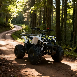 <span class=keywords><strong>Quad</strong></span> électrique tout-terrain 125cc en gros, ATV sportif d'usine avec certification CE, nouveau design, fournisseur de quads 125cc pour enfants et jeunes - Product Image 1