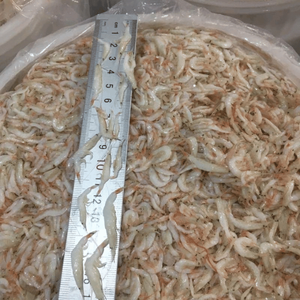 Premium Quality Dried Baby <b>Shrimp</b> for Sale - Fresh & Natural - Ms. Elite - Product Image 4