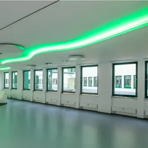 Raymates LED tubo flexível neon 360 graus 18mm RGB colorido faixa de luz redonda luminosa para edifícios