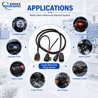 Harness Kabel Kustom Otomotif dengan Multi-Konektor untuk Sistem Sepeda Motor