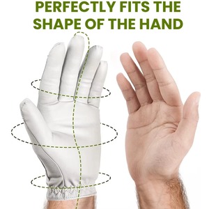 Best Quality Men's New Style White Golf Gloves Non- Slip Breathable Lamb Leather Adult Wear Resistant <b>Light</b> Weight Wholesale - Product Image 5